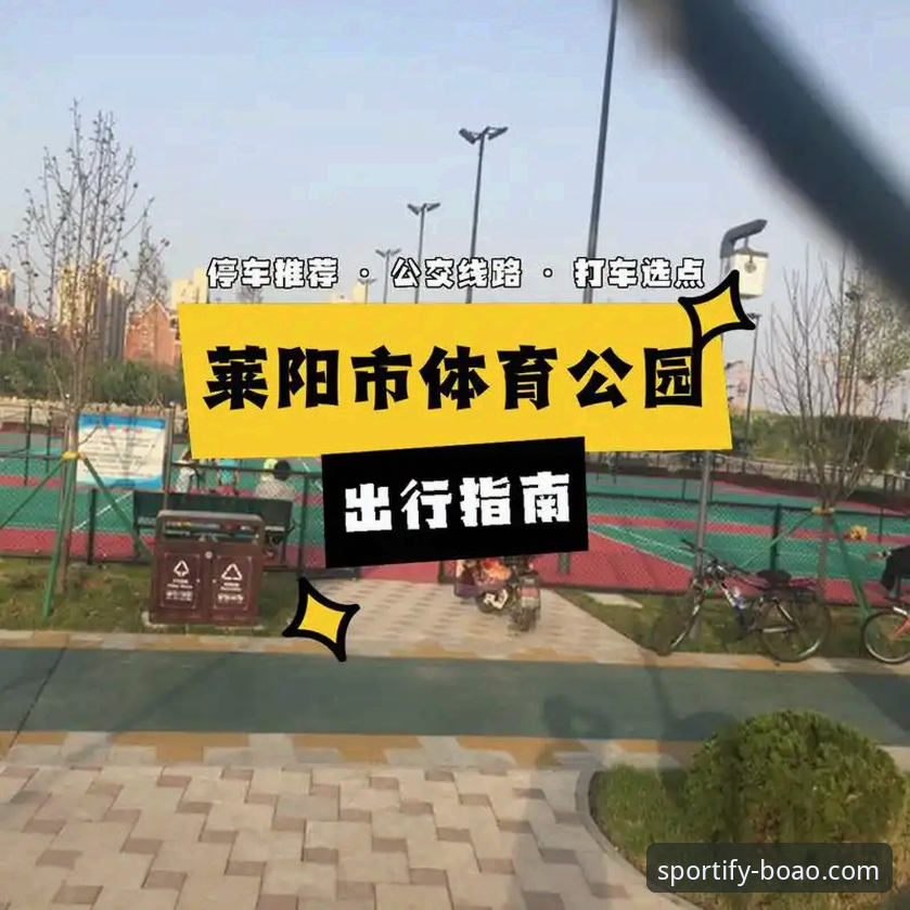 博奥体育体验完整指南：从注册到观赛的新手操作手册